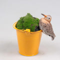 Season inspired decoration pothanger vogel grutto