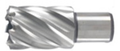 Hikoki accessoires kernboor 19x30 mm - 754408
