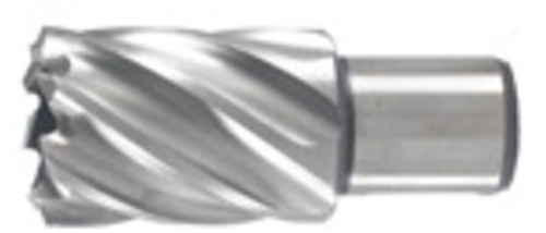 Hikoki accessoires kernboor 19x30 mm - 754408