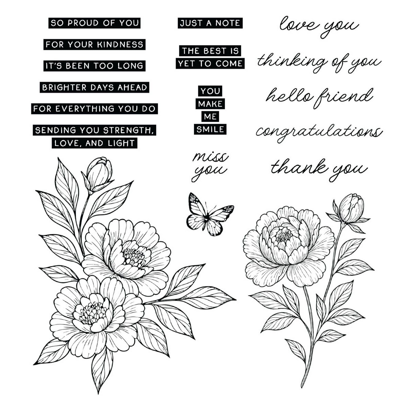Ranger ink ranger • simon hurley create. photopolymer stamps sketched peonies