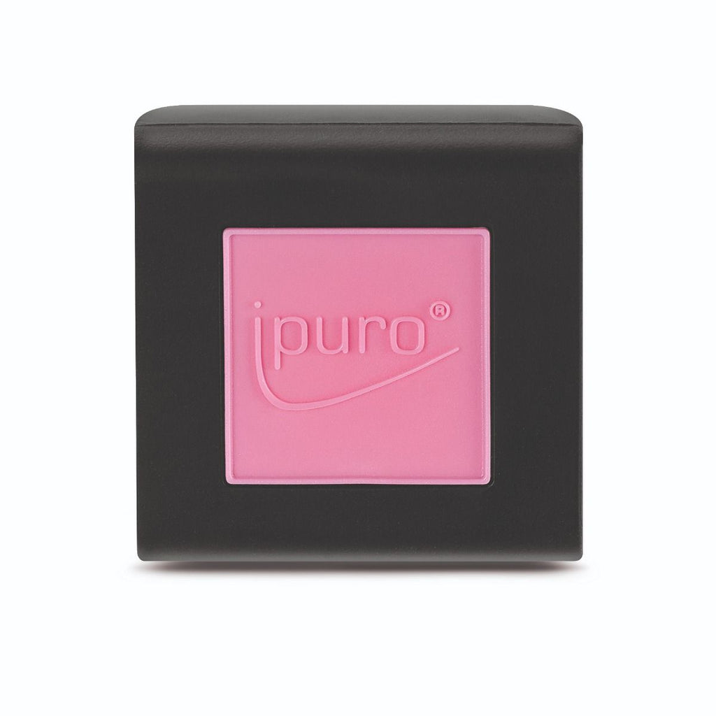 Ipuro car line flower bowl
