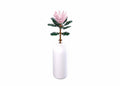 Sluban flowers reuzeprotea cynaroides 219-delig