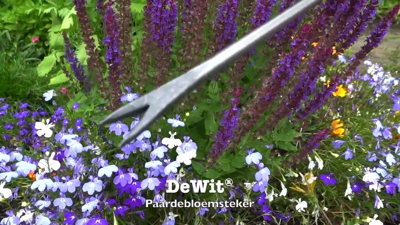 De wit producten paardenbloemsteker essen handvat 140mm stardewitstar