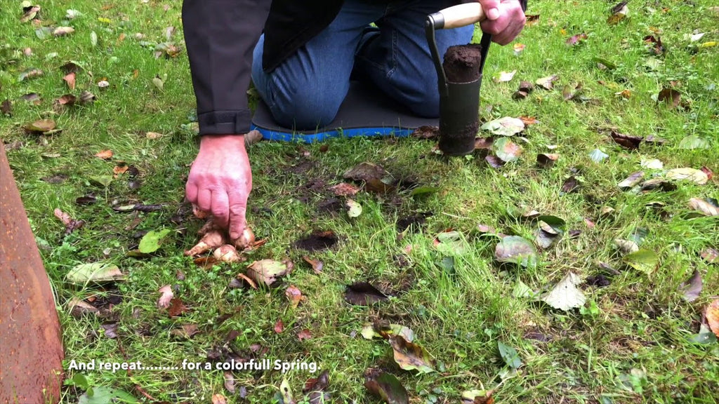 De wit producten bollenpoter 60mm met houten handgreep dewit