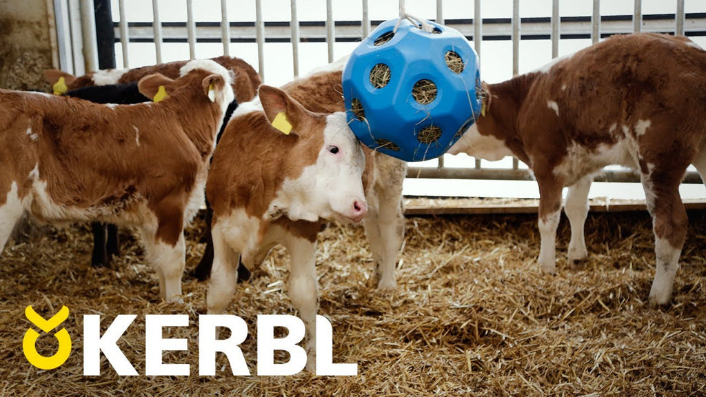 Producten voederspeel bal blauw