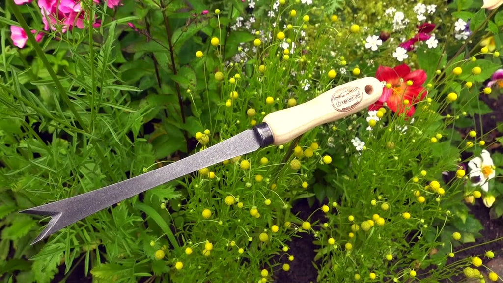 De wit producten paardenbloemsteker essen handvat 140mm stardewitstar