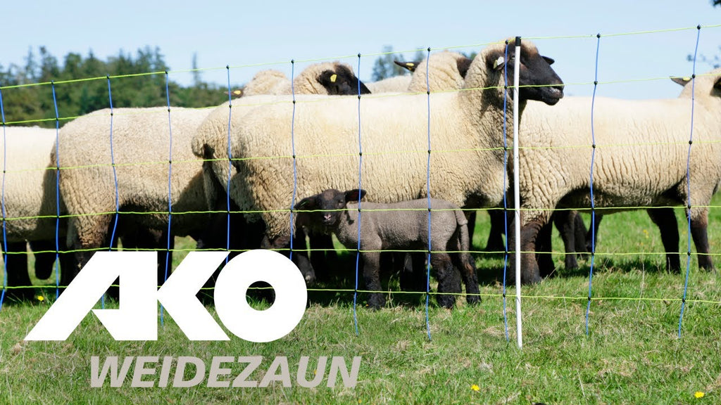Ako producten vervangende paal voor schapennet titan dubbele pen 90cm