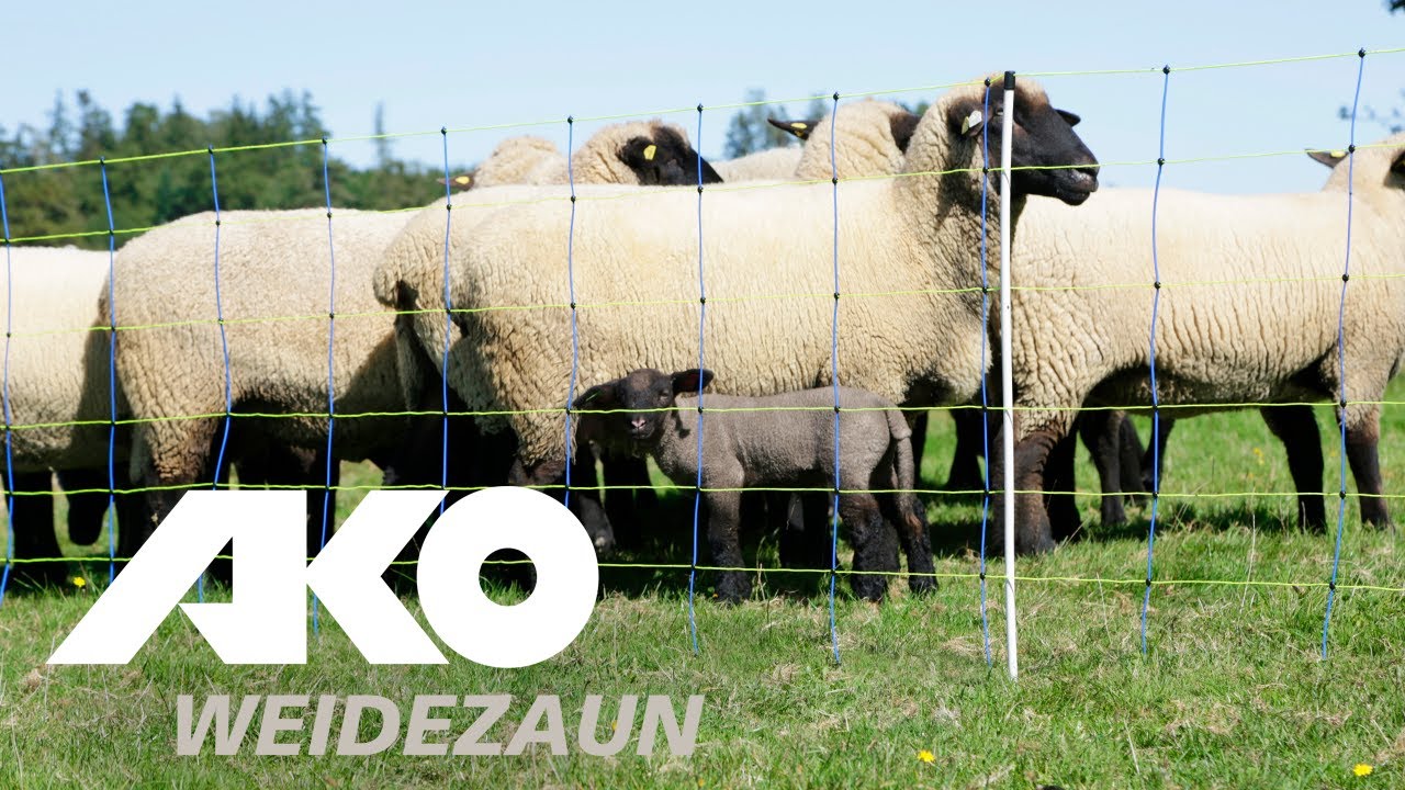 Ako producten vervangende paal voor schapennet titan dubbele pen 90cm