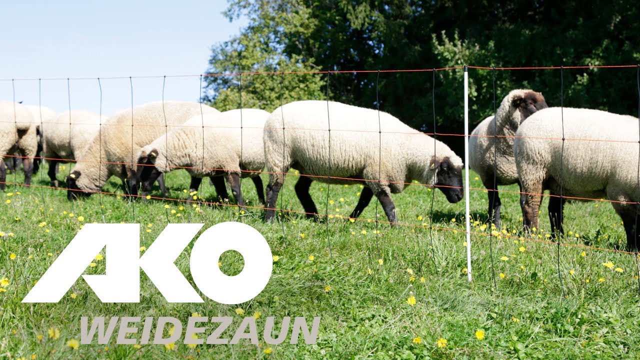 Ako producten schapennet titanlicht oranjezw 90cmx50m enkele pen