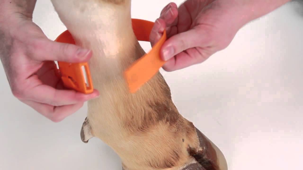 Producten enkelband kunststof 37cm oranje