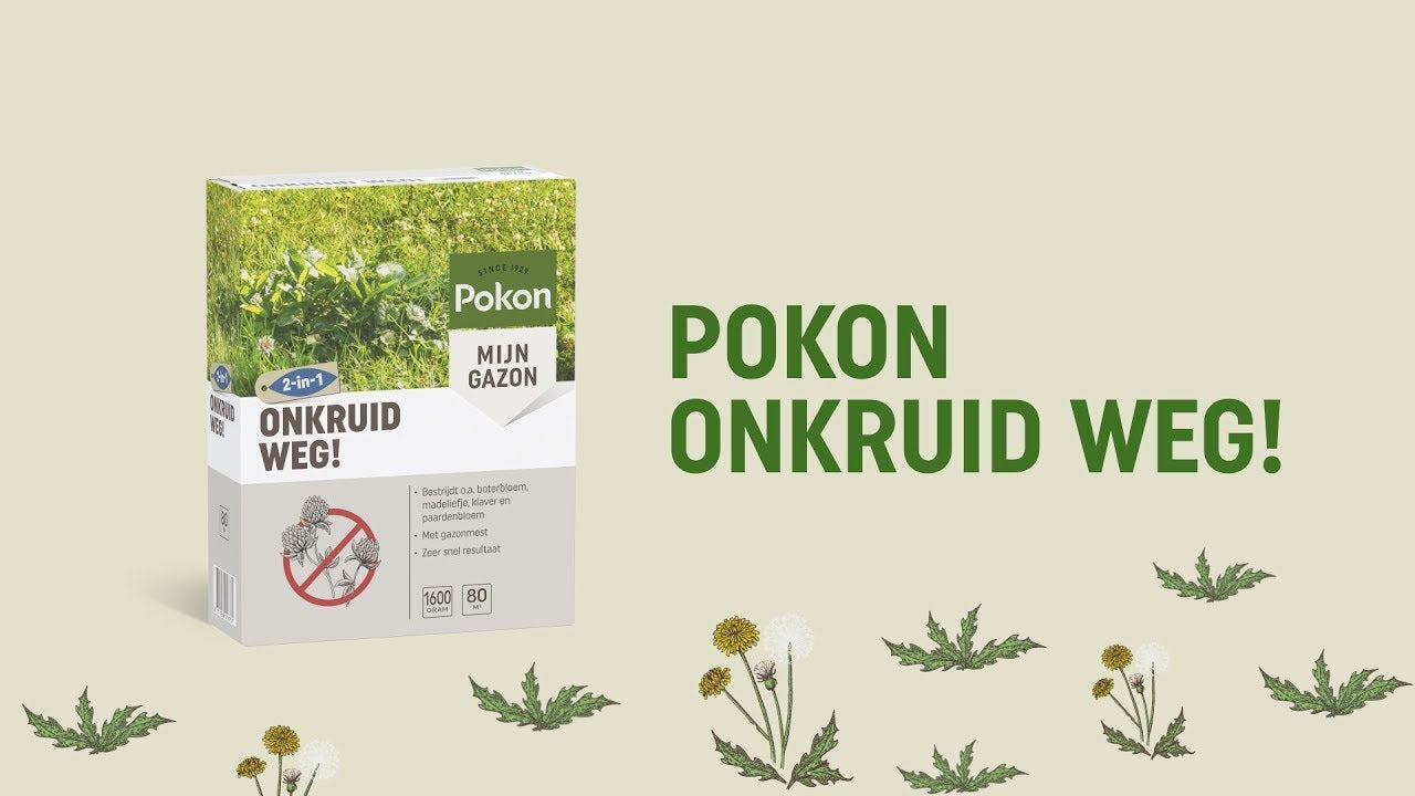 Pokon producten onkruid weg 80 m2 1600 gr