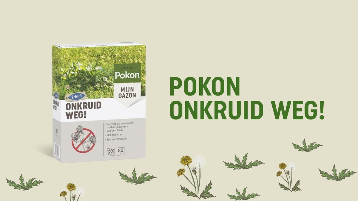 Pokon producten onkruid weg 40 m2 800 gr
