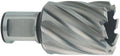 Metabo accessoires hss kernboor ø 19x30 mm - 626507000