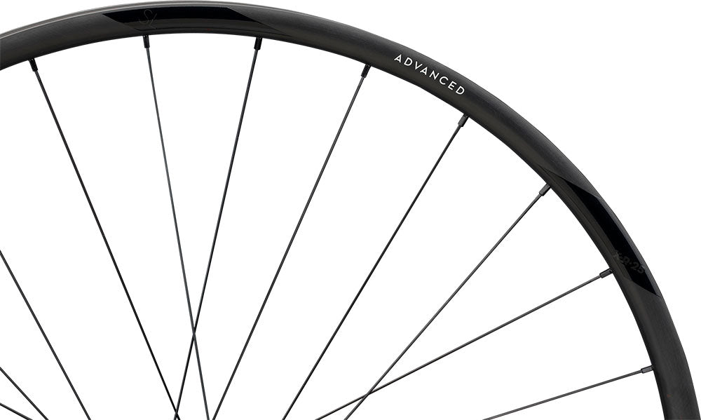 Newmen advanced sl x.r.25 cl fade r 29 rear wheel