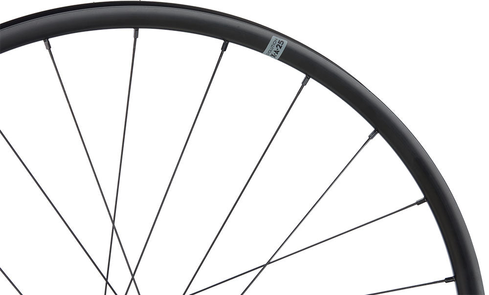 Newmen evolution x.a.25 kids 24 boost sp 6-bolt rear wheel