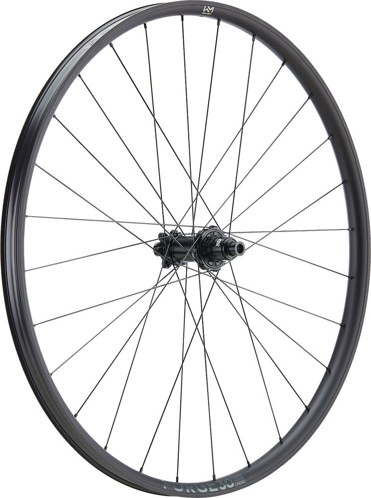 Newmen forge 30 base trail 29 6-bolt 12x148 fade rear wheel