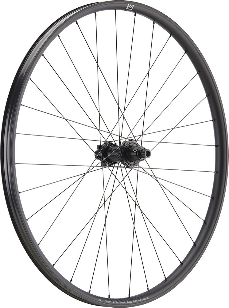 Newmen forge 30 strong enduro 29 6-bolt 12x148 fade rear wheel