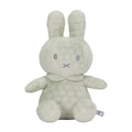 Little dutch nijntje knuffel 30cm green flower grs
