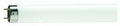 Philips tl buis 8w 10 uv-a insekt 5900540