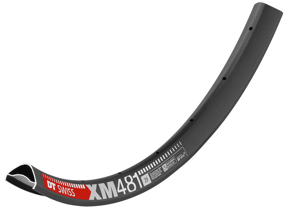 Dt swiss xm 481 disc rim 28 hole | 29