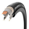 Pirelli cinturato™ sport - folding tyre | 26-622 (700x26c)