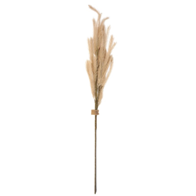 Kunsttak pluimen lichtbruin 108 cm | 12 stuks