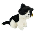Sunkid poes zwart wit 40 cm | 6 stuks