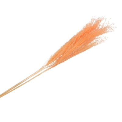 Daan kromhout kunsttak gedroogd zilvergras peach xl oranje 100 cm | 10 stuks