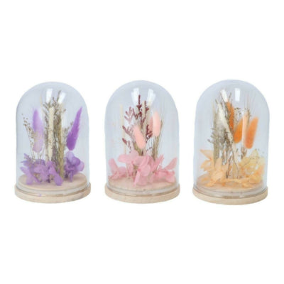 Daan kromhout droogbloemen in stolp 16 cm 3 assorti | 6 stuks