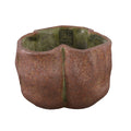 Ptmd bloempot roddie rust 14 cm | 12 stuks