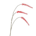 Daan kromhout kunsttak berry cluster rood 94 cm | 6 stuks