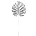Hbx kunsttak monstera zilverkleurig 72 cm | 20 stuks