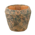Ptmd bloempot lourdes geel groen 15 cm | 16 stuks