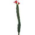 Cactus met bloem rood groen 35 cm | 24 stuks
