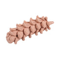 Beeld pine cone terra 21 cm | 8 stuks
