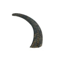 Hoorn buffel 25 cm | 24 stuks