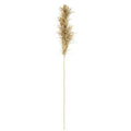 Parlane pampas gras naturel 120 cm | 18 stuks