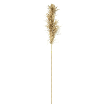 Parlane pampas gras naturel 120 cm | 18 stuks