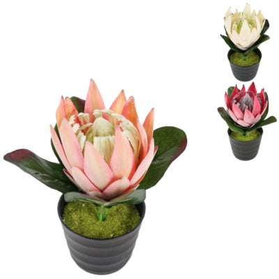 Kunstplant in pot protea 21 cm 3 assorti | 12 stuks