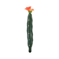 Cactus met bloem oranje groen 23 cm | 24 stuks