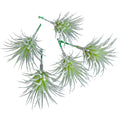 Kunstplant tillandsia groen 7.5 cm set van 5 | 24 stuks