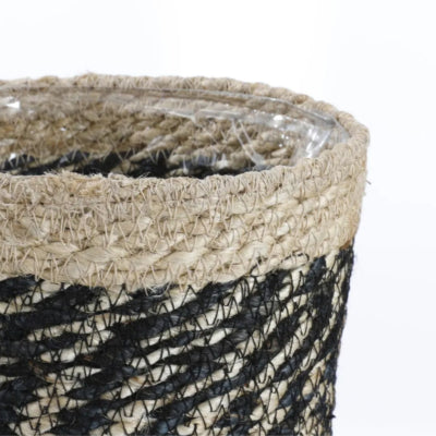 Mica mand bonaparte zwart 14 cm | 18 stuks