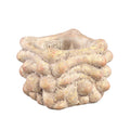 Ptmd bloempot drew xs crème 12 cm | 16 stuks