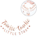 Ginger ray letterslinger twinkle twinkle rosé goudkleurig 3 m | 10 stuks