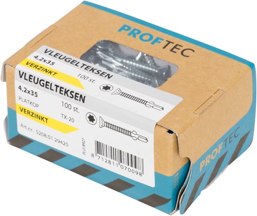 Proftec gasbetonschroef dacromet pk torx tx30 8.0x100 | 25 stuks - 5504.08.62601