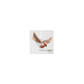 Farmwood animals vogel roodborstje vliegend 8,5x8x5cm