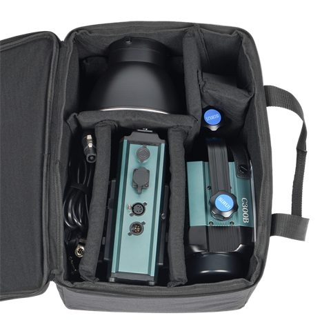 Sirui bi-color led monolight c300b