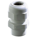 Wiska sprintwartel pg16