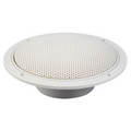 Plafond luidspreker