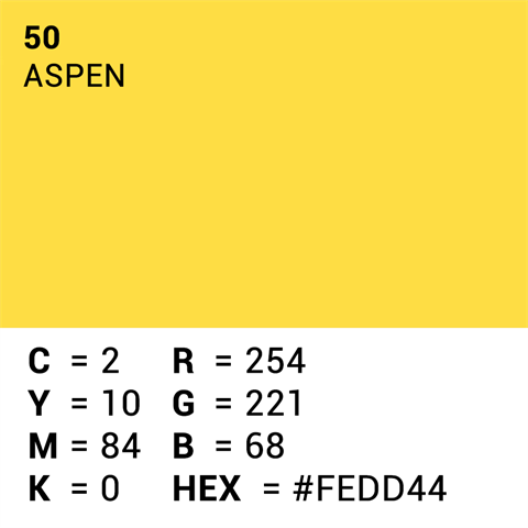 Hochwertiges Hintergrundpapier 50 Aspen 1,35 x 11 m